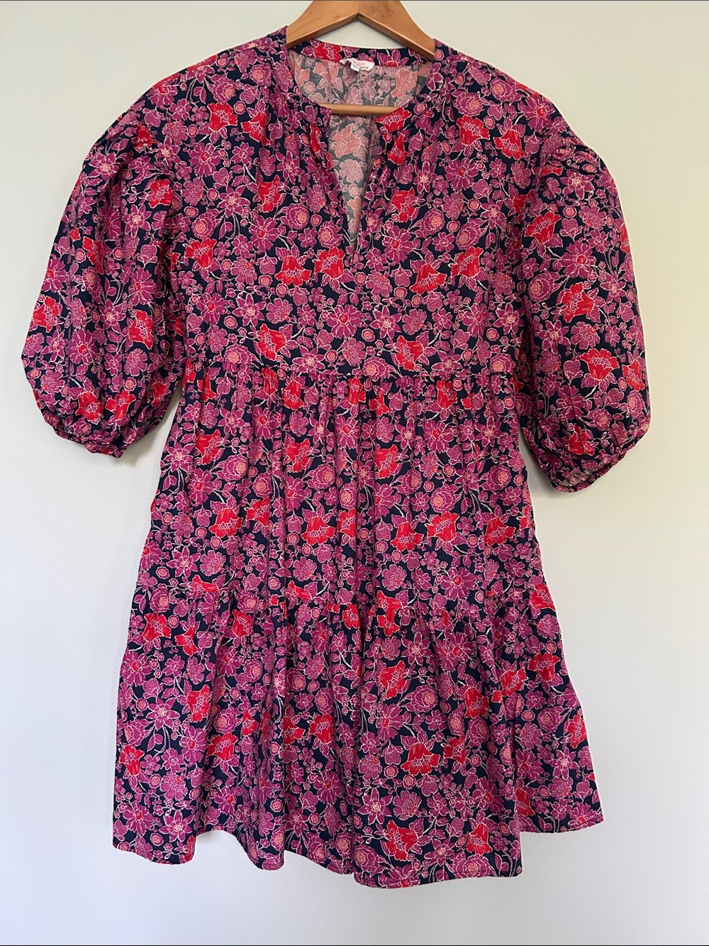 Evereve Pink & Red Floral Puff-Sleeve Mini Dress